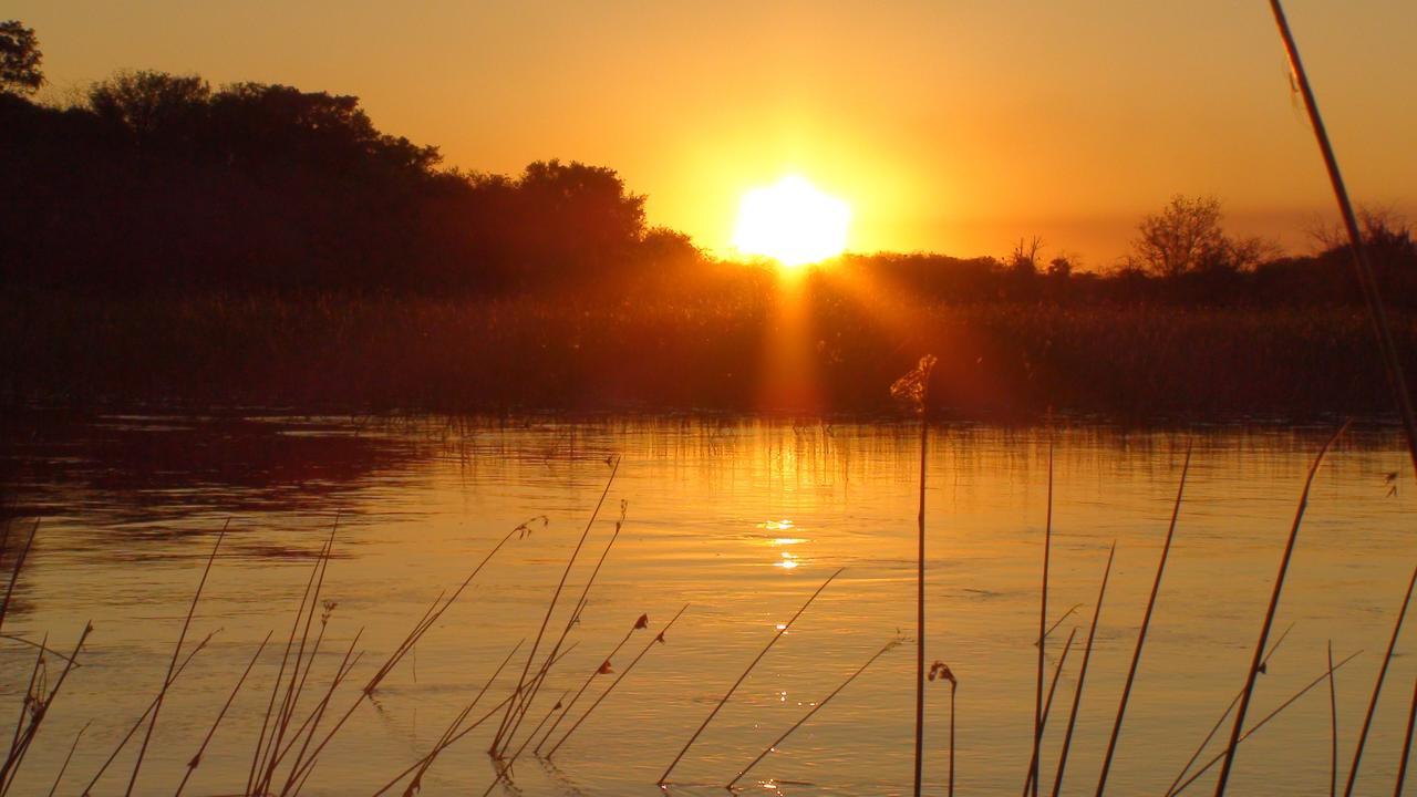 Island Safari Lodge Maun Extérieur photo