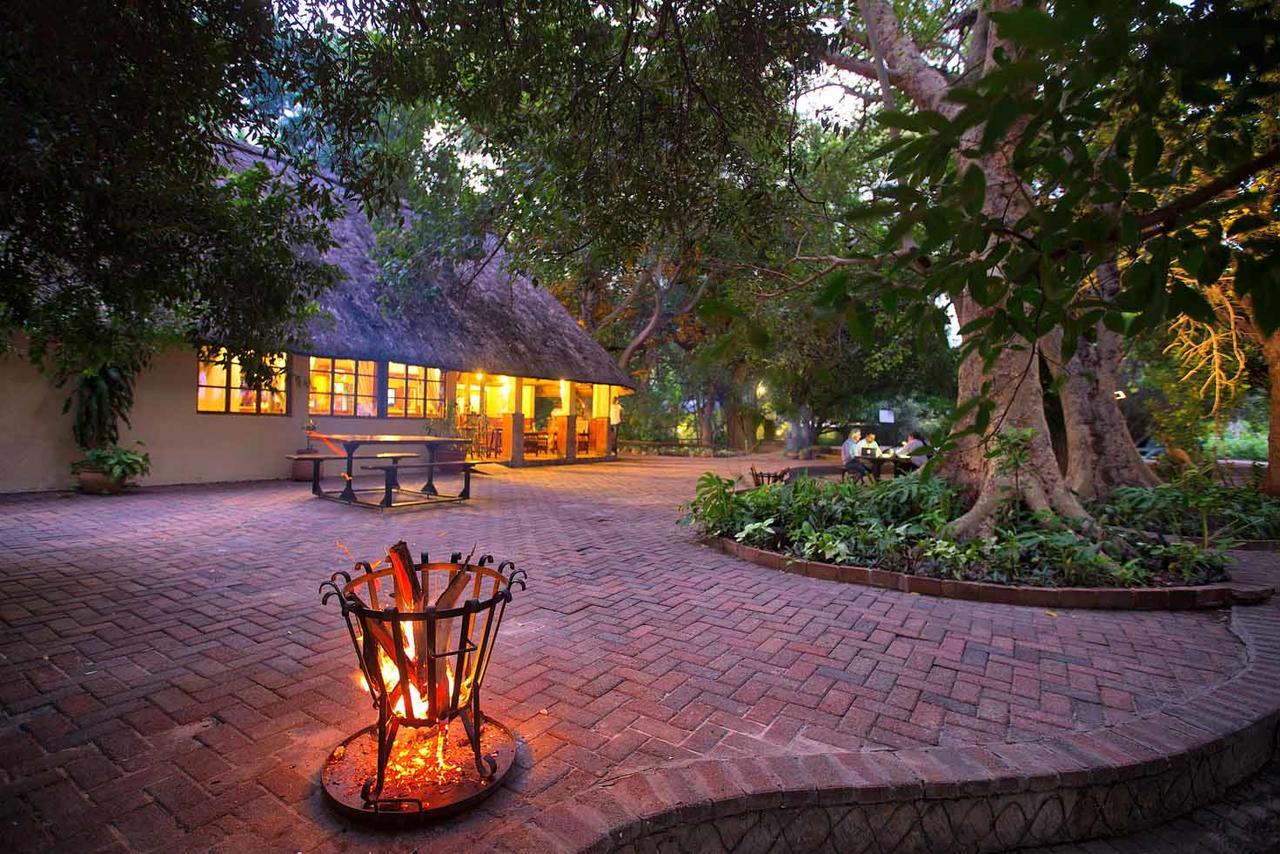 Island Safari Lodge Maun Extérieur photo