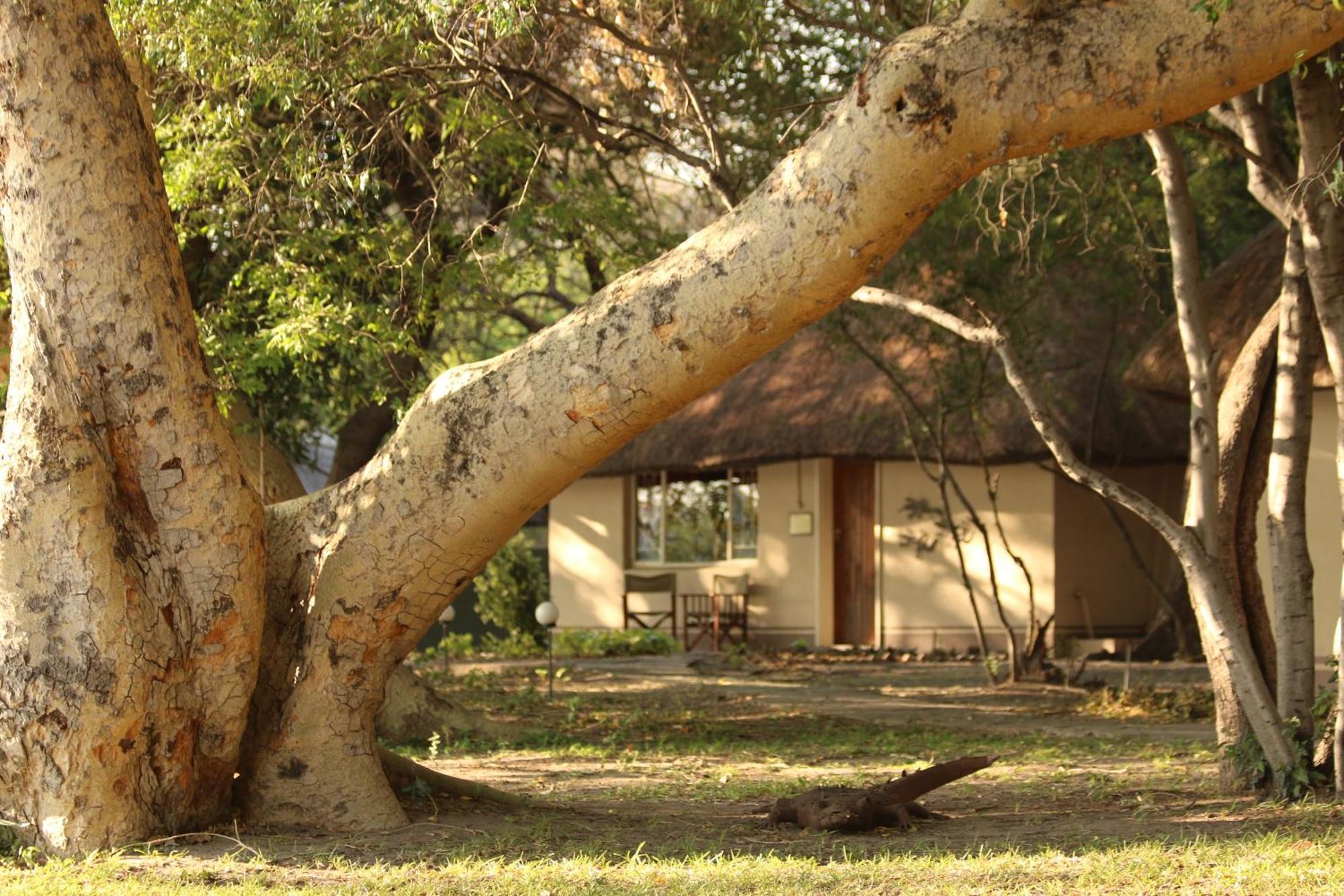 Island Safari Lodge Maun Extérieur photo